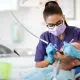 why-dental-checkups-are-essential